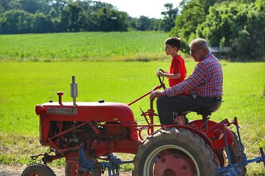 Assicurazione Trattore Agricolo 2021 Migliori Preventivi Assicurazione Trattore Agricolo 2021 Migliori Preventivi