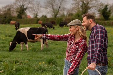 Assunzioni, requisiti, limiti, contratto
