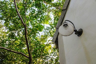 autorizzazione tagliare albero