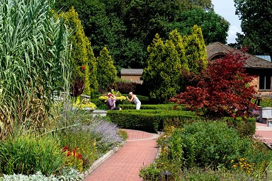 Leggi giardini confinanti case 