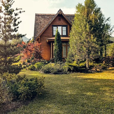 Abbattere albero giardino casa 