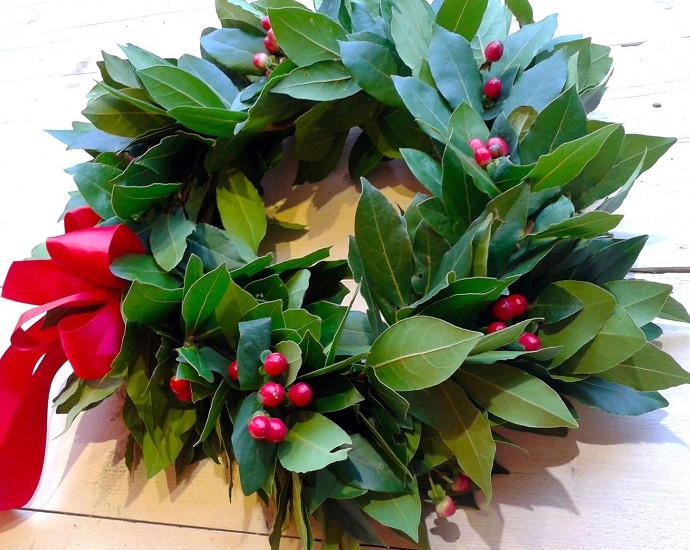 Autocertificazione titolo di studio, com