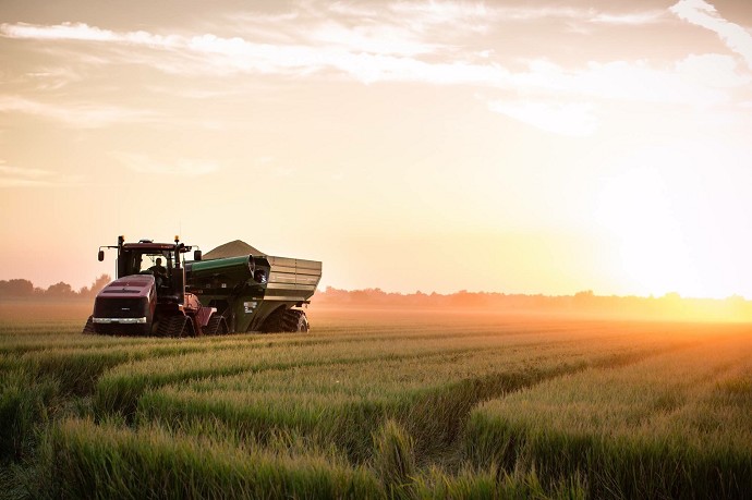 Come aprire una azienda agricola? Proced