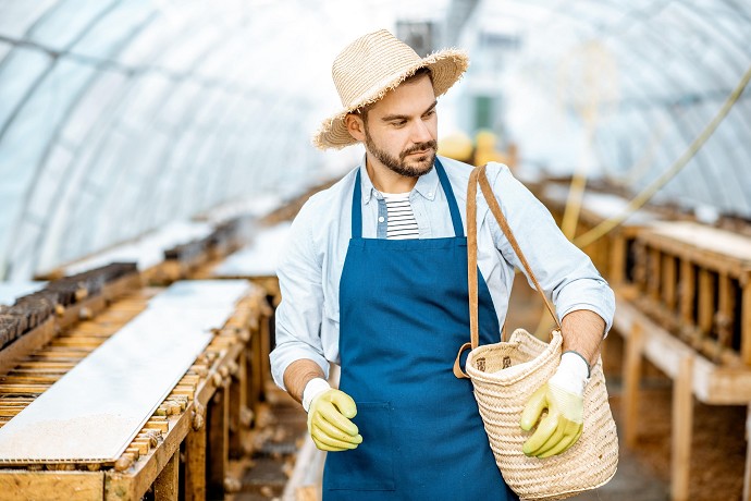 Contratto agricolo 2024, quali sono i li