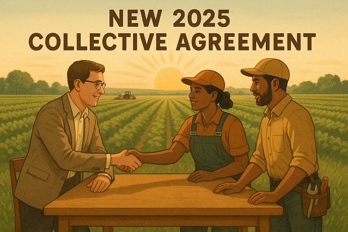 Contratto CCNL 2025 cooperative e consor