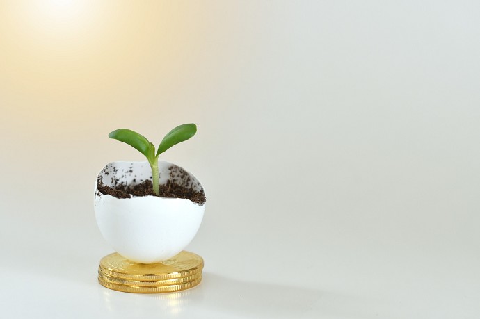 Conviene investire in buoni fruttiferi p