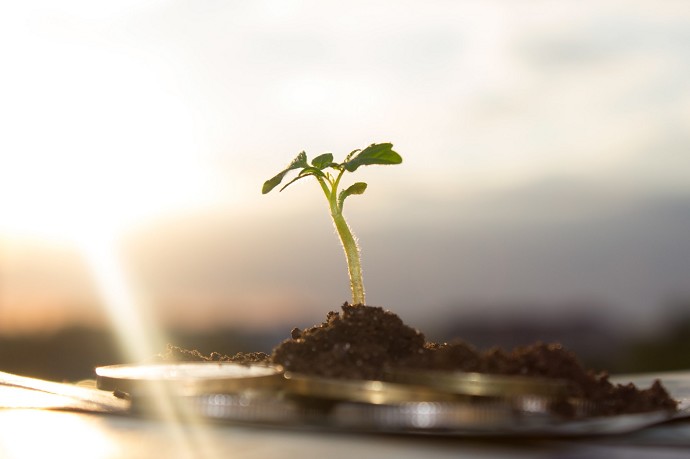 I vantaggi e gli svantaggi di investire 
