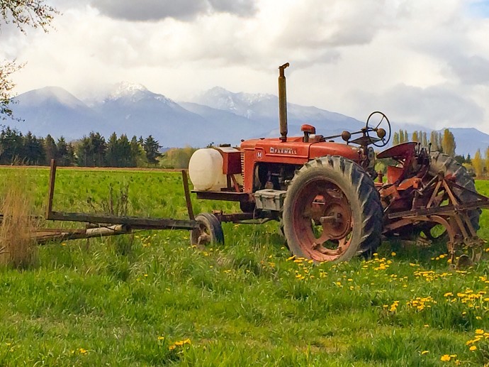 Indennit disoccupazione contratto agric