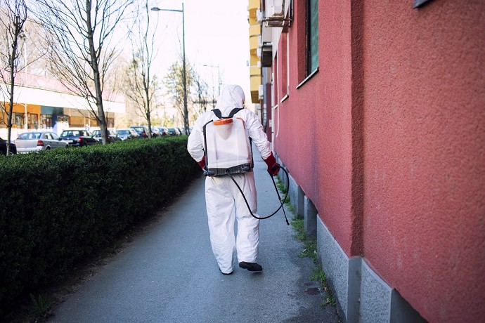 La disinfestazione in un condominio  ob