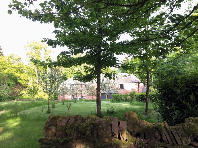 La normativa sugli alberi nei giardino d