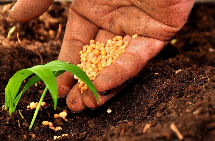 Lavorare nel settore agricolo, come funz