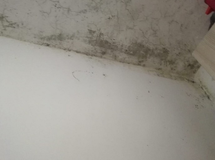 Lavori per sistemare muffa e umidit� in 