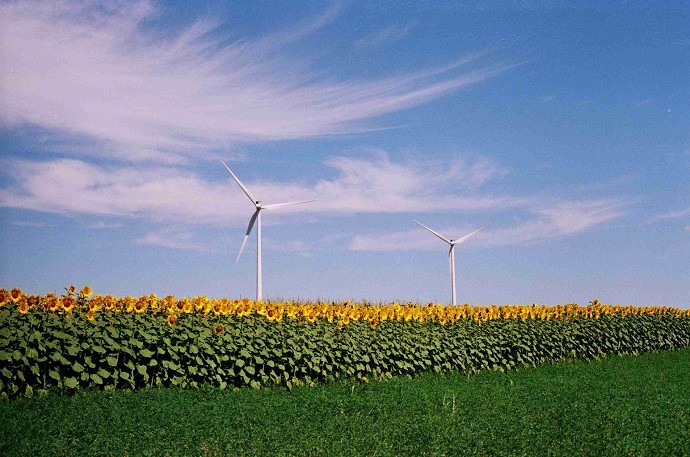 Le aziende italiane che usano pi energi