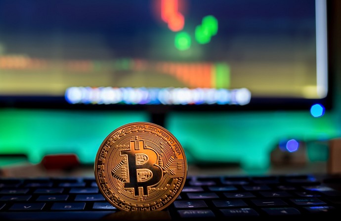 Quali sono i siti web e i negozi online 