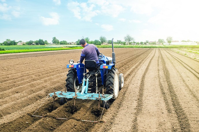 Scatti anzianit Contratto agricolo 2025