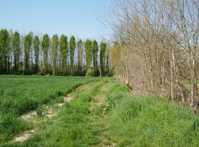 Usucapione terreni agricoli, come funzio