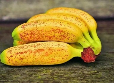 Banana, ecco la crio-banana che si mangia con la buccia ...