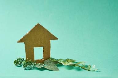 casa green UE