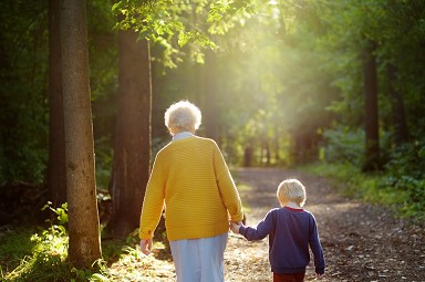 Riforma pensioni 2023, Corte dei Conti e
