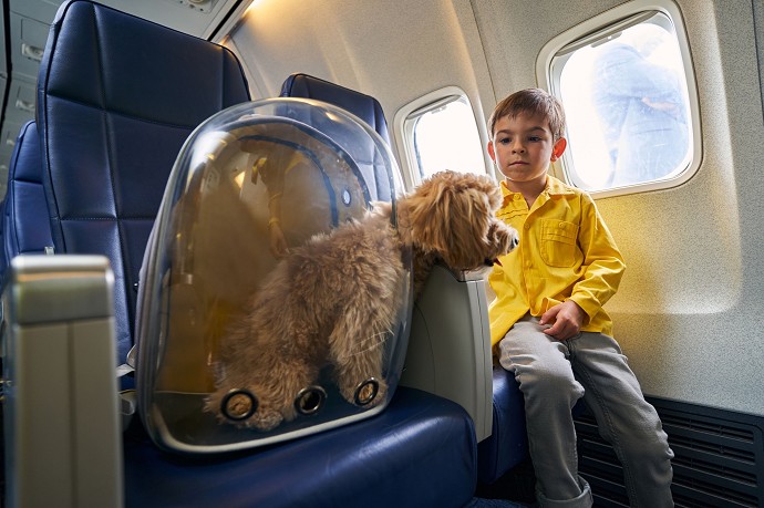 animali aereo novita
