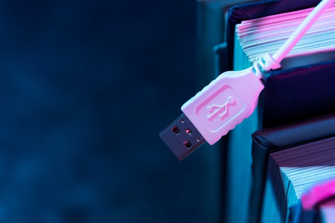 Quale riconoscimento legale per IT Walle