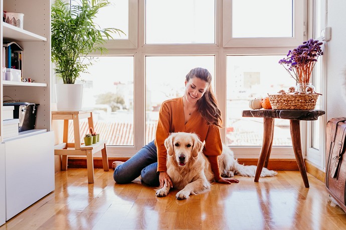 detrazioni animali domestici