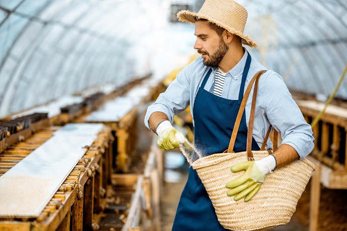 servizio civile Agricoltura