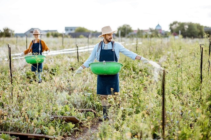 lavoro nero agricoltura
