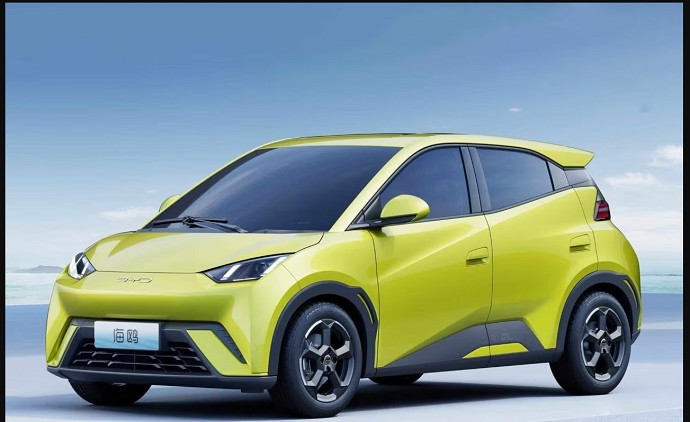 Byd Seagull 2024