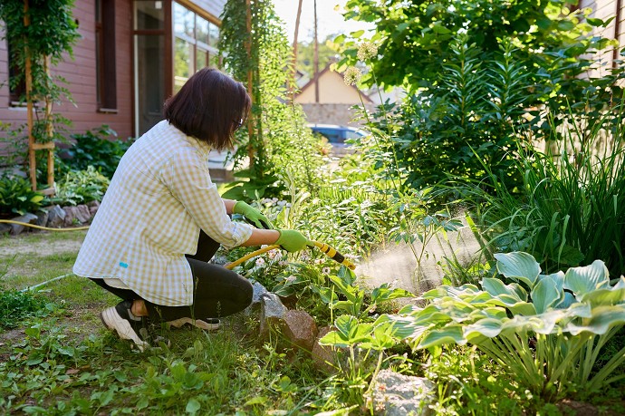 sanzioni cura giardino