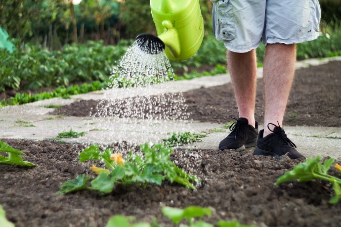 Quali lavori conviene fare in giardino