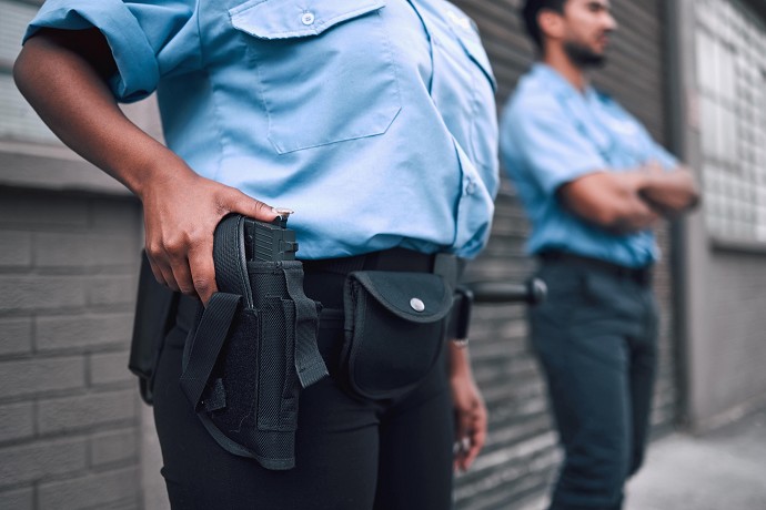 rinnovo vigilanza privata