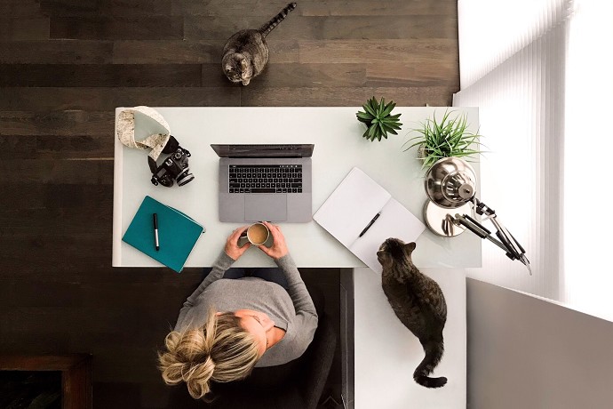 Supporto per la Formazione e il Lavoro