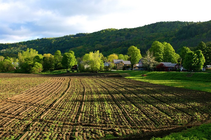 asta terreni agricoli 