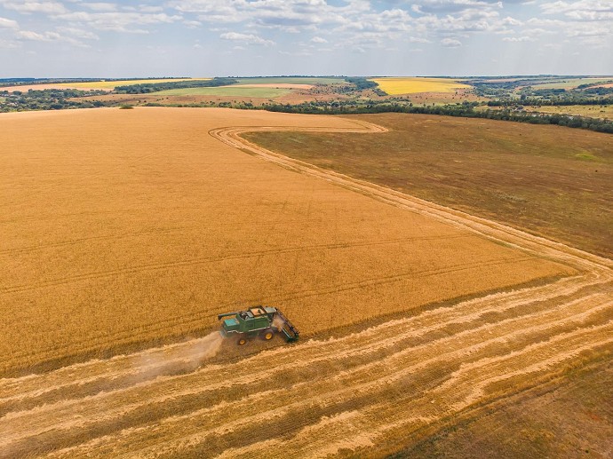 Quanto costa un terreno agricolo