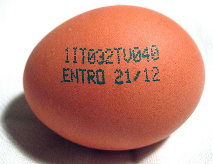 Attenzione al cibo per le galline