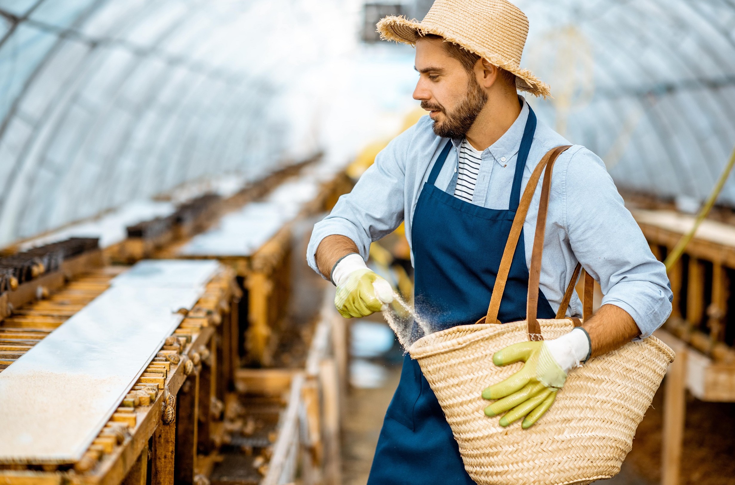 Come funziona il servizio civile in Agricoltura? Bando, date, requisiti