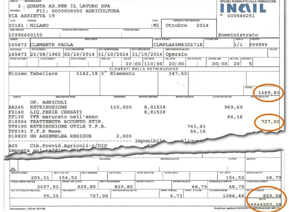 novibet group