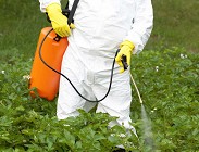 allarme pesticidi negli ambienti