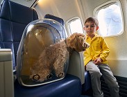 animali aereo novita