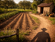 occuparsi terreno diritto usucapione 