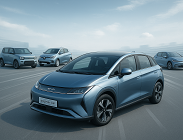 Byd Dolphin Surf