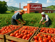 Campbells, acquisisce del Gruppo Regina