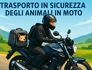 Norme trasporto cani in moto