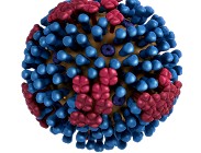 distinguere coronavirus normale influenza