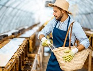 servizio civile Agricoltura