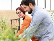 Contratto cooperative agricole 2024-2027