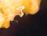 Mercato libero luce e gas