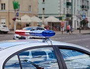 novita DDl Sicurezza 