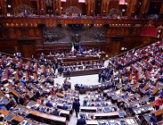 novit ddl sicurezza